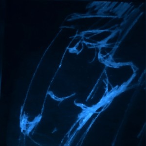 Shameless (Explicit)