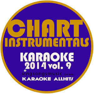Trophies (Karaoke Instrumental Version|In the Style of Young Money & Drake|纯音乐)