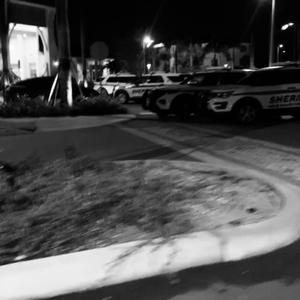 FTF Freestyle (feat. halfmari & Lil TJ) (Explicit)