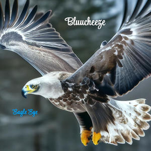 Eagle Eye (Explicit)