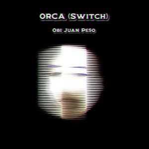 Orca (Switch)