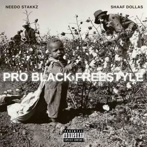 Pro Black Freestyle (feat. Shaaf Dollas) [Explicit]