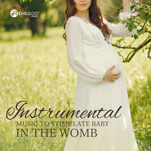 Instrumental Music to Stimulate Baby in the Womb: Pregnancy Sounds, Brain Development