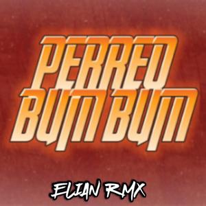 PERREO BUM BUM