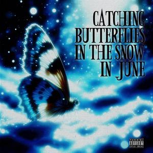 Catching Butterflies In The Snow In June (六月雪地抓蝴蝶))