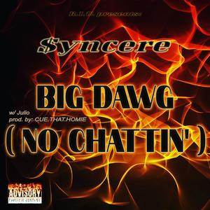 No Chattin' (Big Dawg) (feat. Julio frm Laredo) [Explicit]