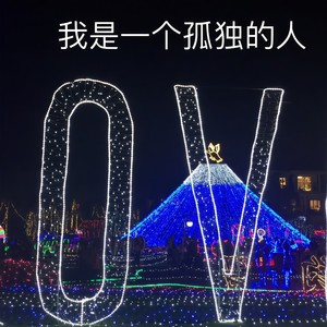 我是一个孤独的人