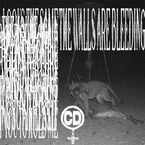 the walls are bleeding