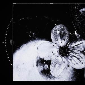 Raehn - alprazolam (feat. mmiro4!) (Explicit)