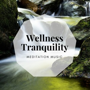 Wellness Tranquility: Spa Massage, Nirvana, Meditation Music, Evening Music Therapy, Serenity