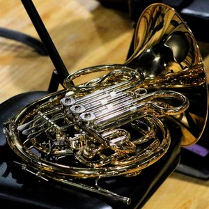 Flight of the Bumble Bee（野蜂飞舞） (翻奏: 默翊) (Demo)