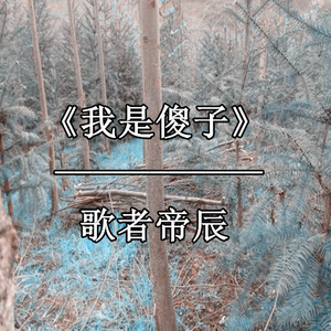 我是傻子