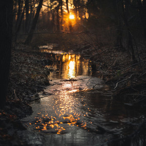 Notas Clave Relajantes