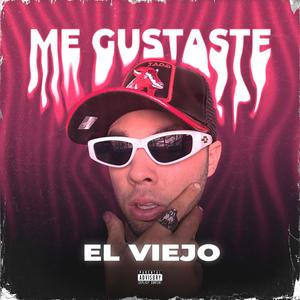 Me Gustaste (Explicit)