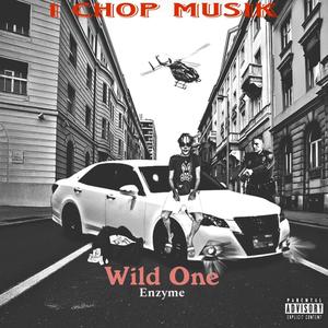 Wild One (feat. Enzyme) [Explicit]