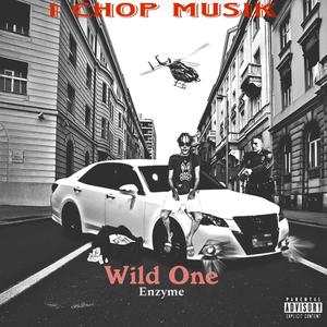 Wild One (feat. Enzyme) (Explicit)
