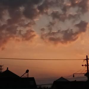 Show you my love (Prod By ATTBeat)