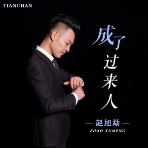 成了过来人 (感悟版)