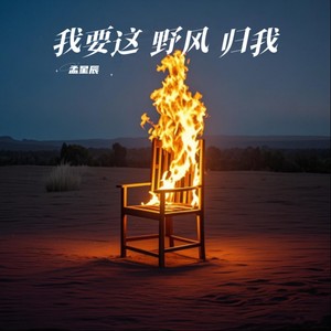 我要这野风归我 (Remix)