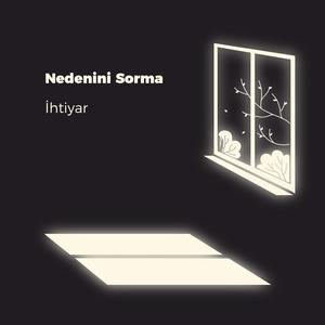 Nedenini Sorma (feat. Fatih Yıldız)