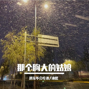 那个胸大的姑娘