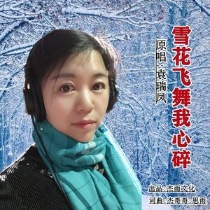 雪花飞舞我心碎 (DJ晓朋)