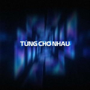 Từng Cho Nhau (Triệu Long Remix)