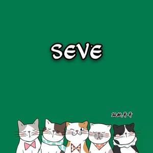 SEVE(纯音乐)