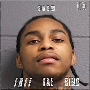 FREE TAE BINO (Explicit)