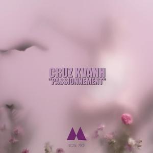 Passionnément (Version Instrumentale)