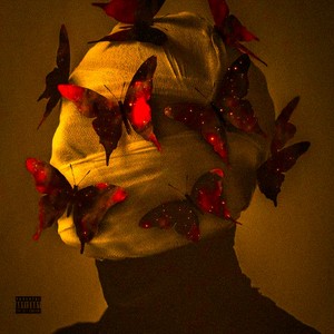 Lnlynight (Explicit)