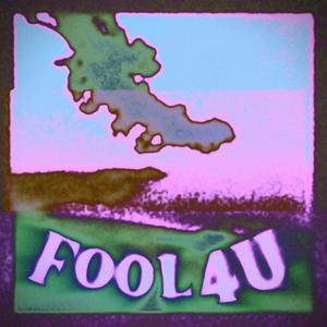 Fool 4 u (Explicit)