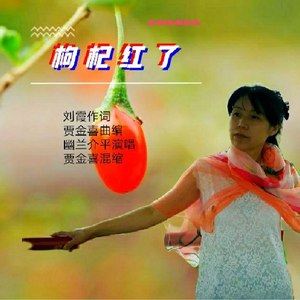 枸杞红了