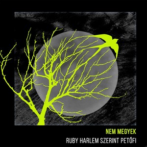 Nem Megyek (feat. Szerint Petőfi)