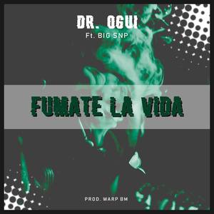 Fumate La Vida (feat. Big Snp)