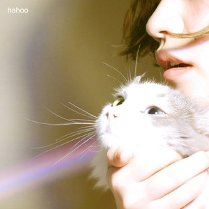 Hahoo