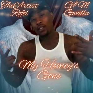 My Homey's Gone (feat. G$M Gwalla) [Explicit]