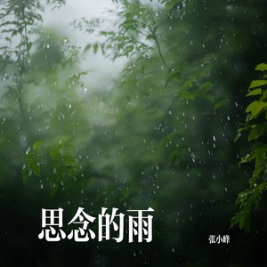 思念的雨 (伴奏)