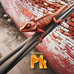 Pk