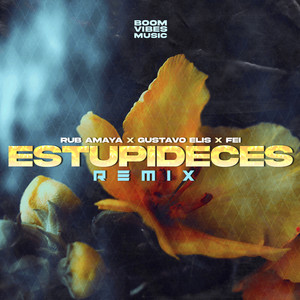 Estupideces (Explicit)