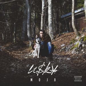 Mojo (Explicit)