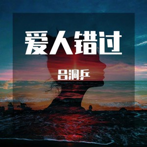 爱人错过封面