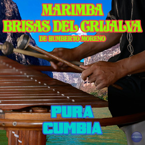 Pura Cumbia