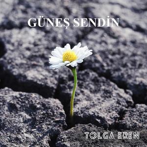 GÜNEŞ SENDİN