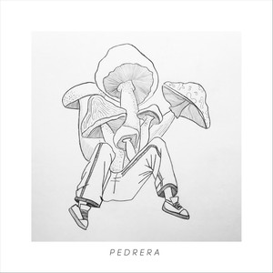 Pedrera