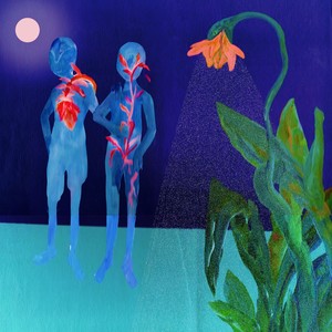 Feito Planta em Vaso