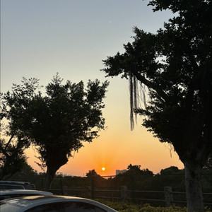 不会 Rap的香香！ - 爱殇2024