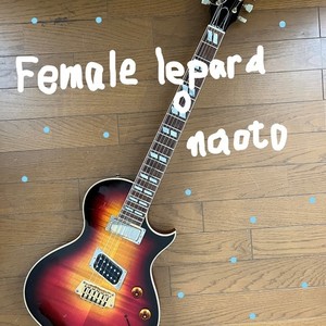 Female leopard