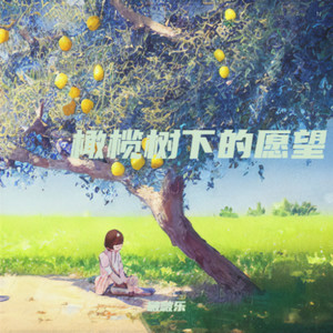橄榄树下的愿望封面