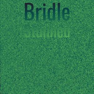 Bridle Stunned